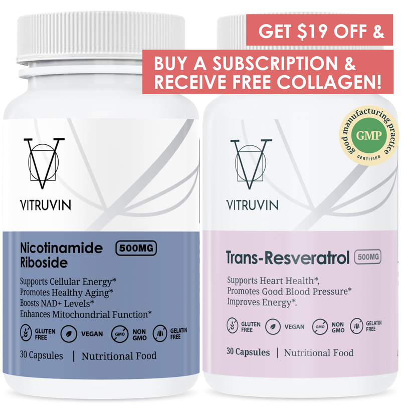 Vitruvin Lifespan Bundle